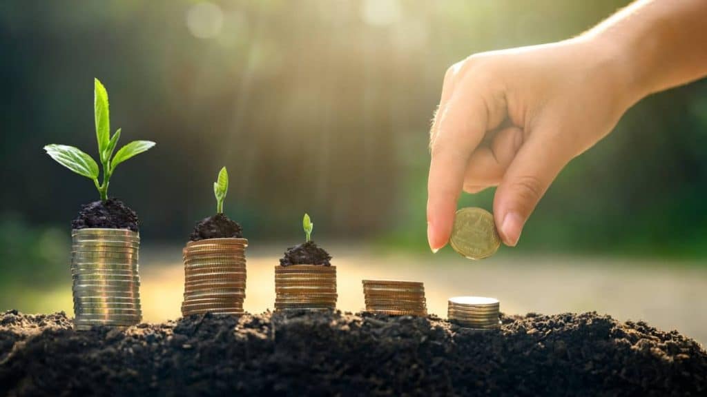Pièces de monnaie dans la terre