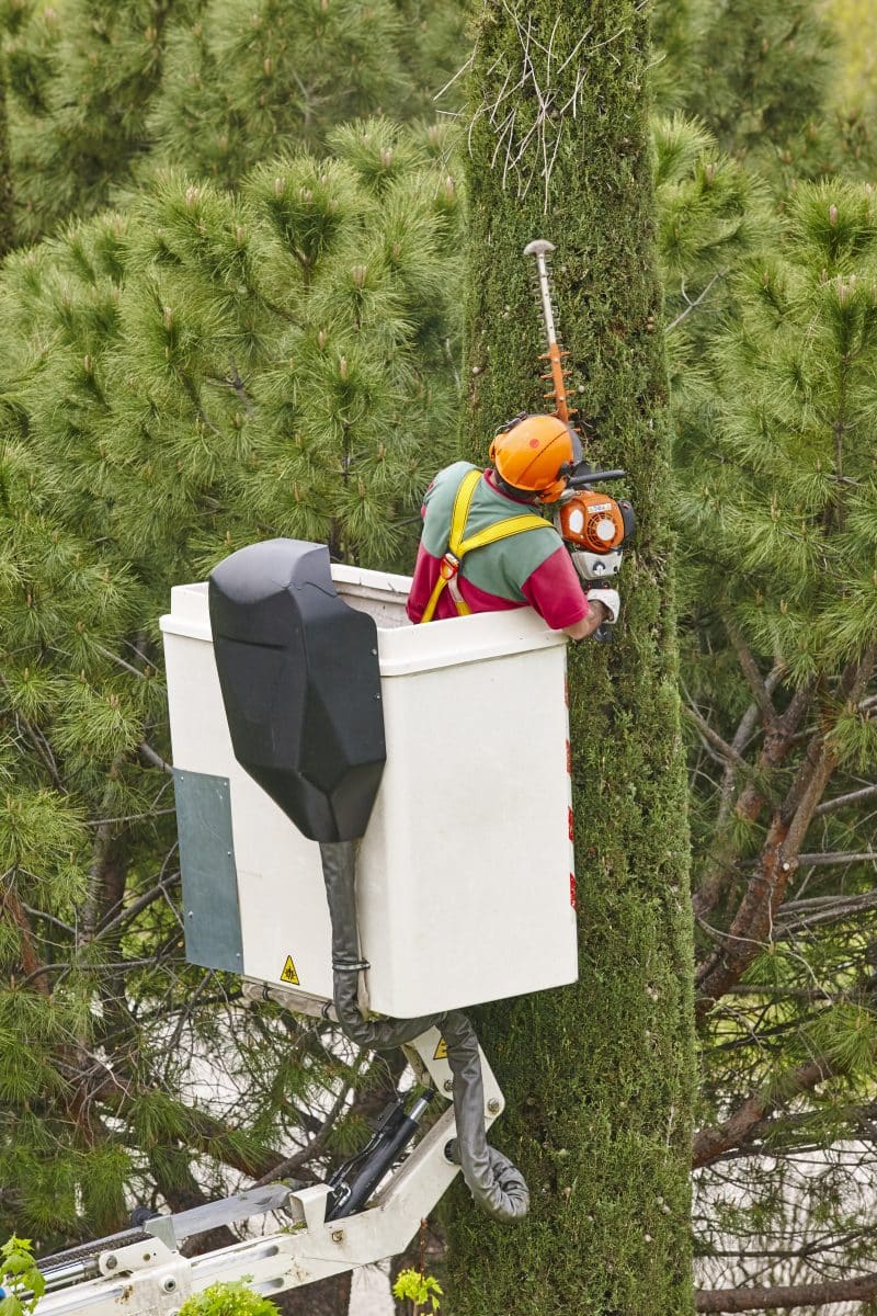 Quelle nacelle pour des petits travaux en hauteur ?